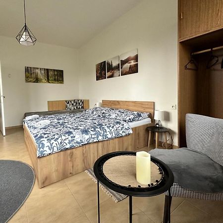 Apartman Aneta ノヴェー・ムニェスト・ナ・モラヴィエ エクステリア 写真
